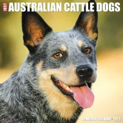 Top 10 โจ 2023 Just Australian Cattle ๐ฆฎ Dogs Wall Calendar by Willow Creek Press ๐