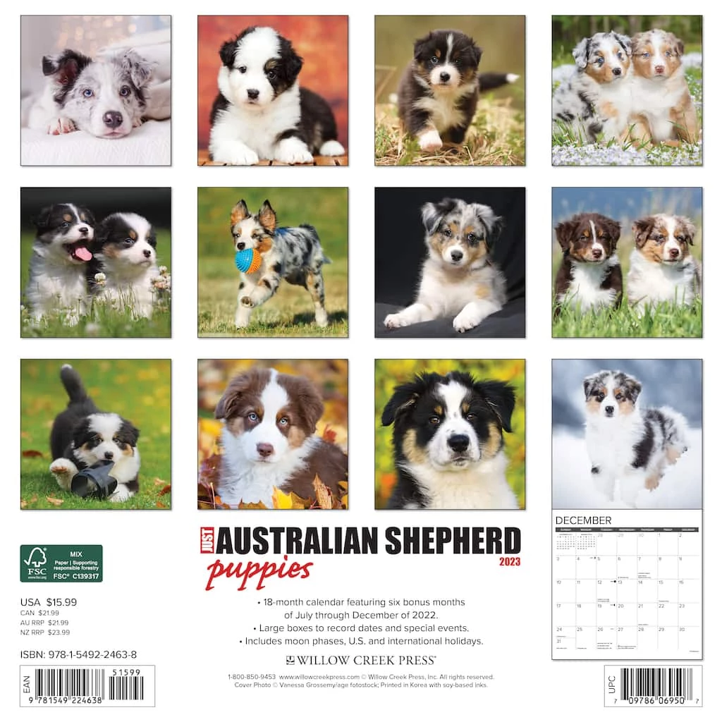 Best Pirce 👏 2023 Australian Shepherd Puppies Wall Calendar by Willow Creek Press 😉 2 Best Pirce 👏 2023 Australian Shepherd Puppies Wall Calendar by Willow Creek Press 😉 - Image 2