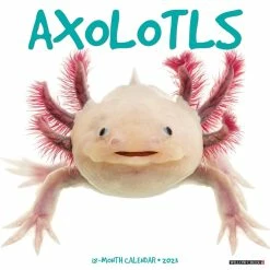Cheap Willow Creek Press Store 32 Discount ⌛ 2023 Axolotls Wall Calendar by Willow Creek Press 👍