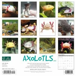 Cheap Willow Creek Press Store -Cheap Willow Creek Press Store D669951S 2