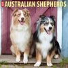 Discount ❤️ 2023 Just Australian Shepherds Wall Calendar by Willow Creek Press 👏