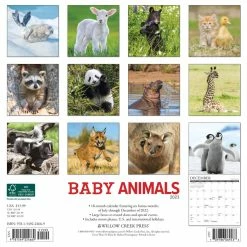 Cheapest 💯 2023 Baby Animals Wall Calendar by Willow Creek Press ⭐ -Cheap Willow Creek Press Store D669953S 2