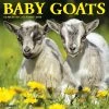 Cheap ⭐ 2023 Baby Goats Wall Calendar by Willow Creek Press 🌟