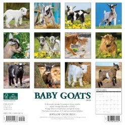 Cheap ⭐ 2023 Baby Goats Wall Calendar by Willow Creek Press 🌟 -Cheap Willow Creek Press Store D669954S 2