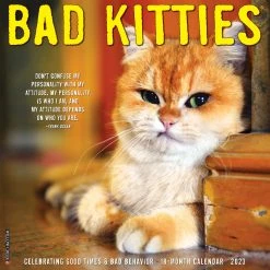 Cheap 💯 2023 Bad Kitties Wall Calendar by Willow Creek Press 🛒