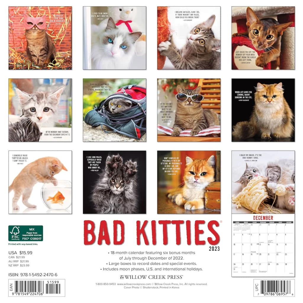 Cheap π― 2023 Bad Kitties Wall Calendar by Willow Creek Press π 2 Cheap π― 2023 Bad Kitties Wall Calendar by Willow Creek Press π - Image 2