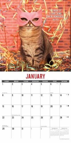 Cheap π― 2023 Bad Kitties Wall Calendar by Willow Creek Press π 6 Cheap π― 2023 Bad Kitties Wall Calendar by Willow Creek Press π -Cheap Willow Creek Press Store D669956S 3