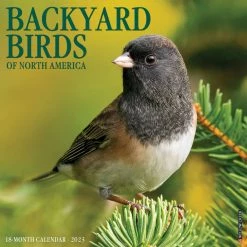 Best deal 😍 2023 Backyard Birds Wall Calendar by Willow Creek Press 💯