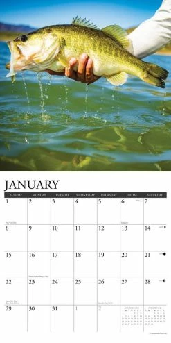 Discount 😉 2023 Bass Wall Calendar by Willow Creek Press 🤩 -Cheap Willow Creek Press Store D669958S 3