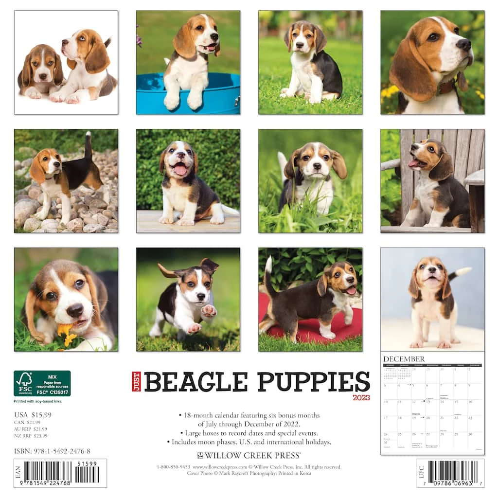 Cheap ๐ 2023 Just Beagle Puppies Wall Calendar by Willow Creek Press โ๏ธ 2 Cheap ๐ 2023 Just Beagle Puppies Wall Calendar by Willow Creek Press โ๏ธ - Image 2