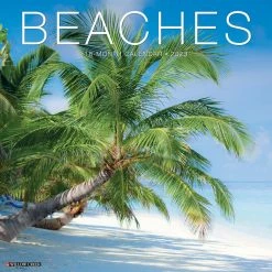 Best Sale ⌛ 2023 Beaches Wall Calendar by Willow Creek Press 🎉
