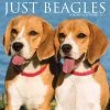 Hot Sale 👏 2023 Just Beagles Wall Calendar by Willow Creek Press 💯