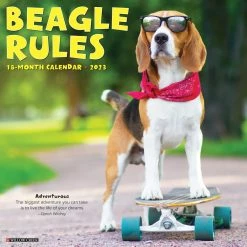 Best reviews of ❤️ 2023 Beagle Rules Wall Calendar by Willow Creek Press ✨