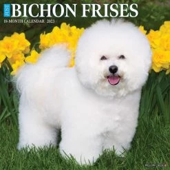 Outlet ๐ 2023 Just Bichons Frises Wall Calendar by Willow Creek Press ๐