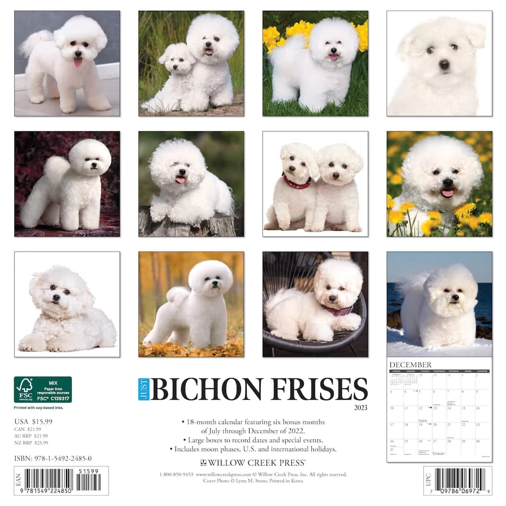 Outlet π 2023 Just Bichons Frises Wall Calendar by Willow Creek Press π 2 Outlet π 2023 Just Bichons Frises Wall Calendar by Willow Creek Press π - Image 2