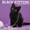 Deals 🔔 2023 Just Black Kittens Wall Calendar by Willow Creek Press 🧨