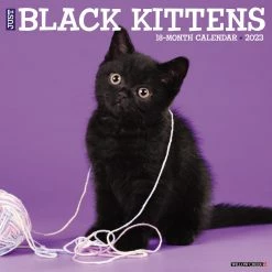Deals 🔔 2023 Just Black Kittens Wall Calendar by Willow Creek Press 🧨
