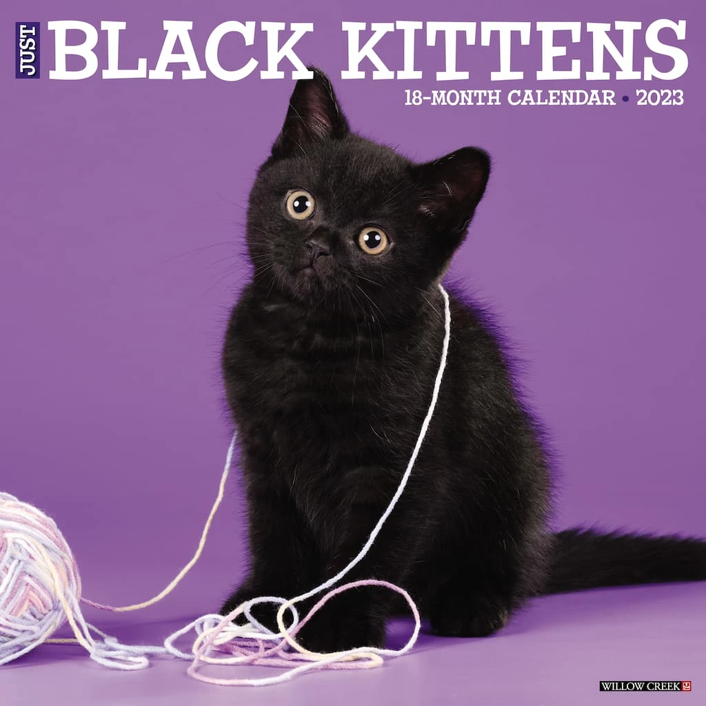 Deals π 2023 Just Black Kittens Wall Calendar by Willow Creek Press 𧨠1 Deals π 2023 Just Black Kittens Wall Calendar by Willow Creek Press π§¨