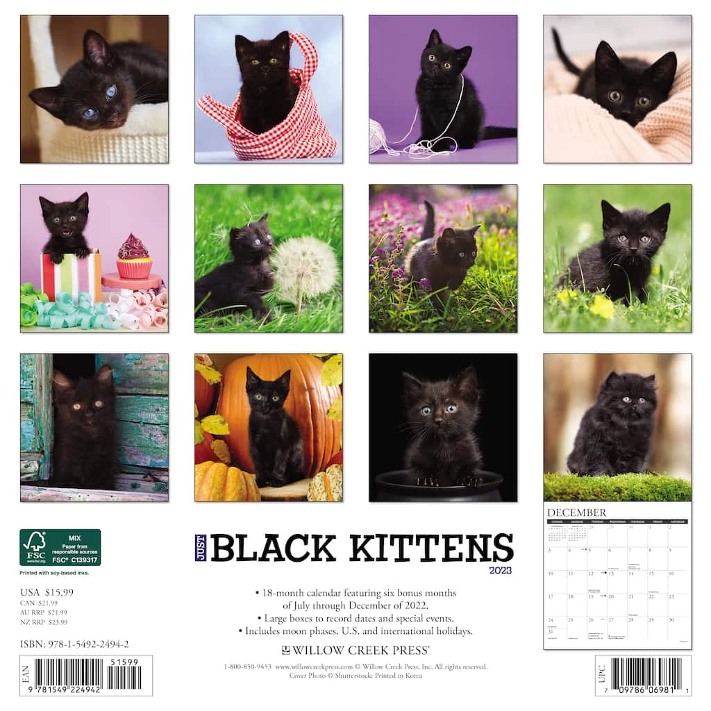 Deals π 2023 Just Black Kittens Wall Calendar by Willow Creek Press 𧨠2 Deals π 2023 Just Black Kittens Wall Calendar by Willow Creek Press 𧨠- Image 2