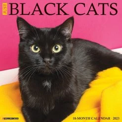 Discount 👍 2023 Just Black Cats Wall Calendar by Willow Creek Press 😉