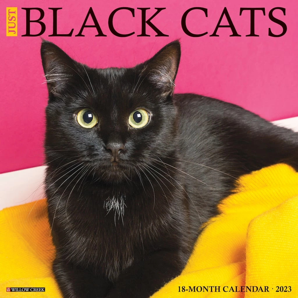 Discount 👍 2023 Just Black Cats Wall Calendar by Willow Creek Press 😉 1 Discount 👍 2023 Just Black Cats Wall Calendar by Willow Creek Press 😉