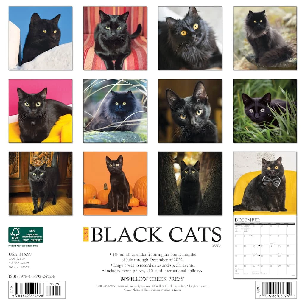 Discount 👍 2023 Just Black Cats Wall Calendar by Willow Creek Press 😉 2 Discount 👍 2023 Just Black Cats Wall Calendar by Willow Creek Press 😉 - Image 2