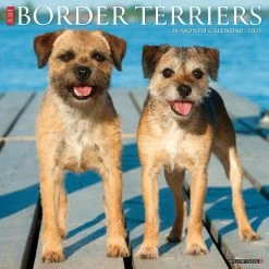 New 🎉 2023 Just Border Terriers Wall Calendar by Willow Creek Press 👍