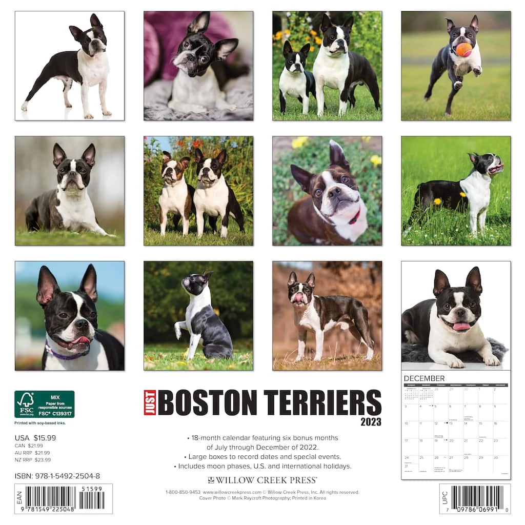 Brand new โค๏ธ 2023 Just Boston Terriers Wall Calendar by Willow Creek Press ๐ 2 Brand new โค๏ธ 2023 Just Boston Terriers Wall Calendar by Willow Creek Press ๐ - Image 2