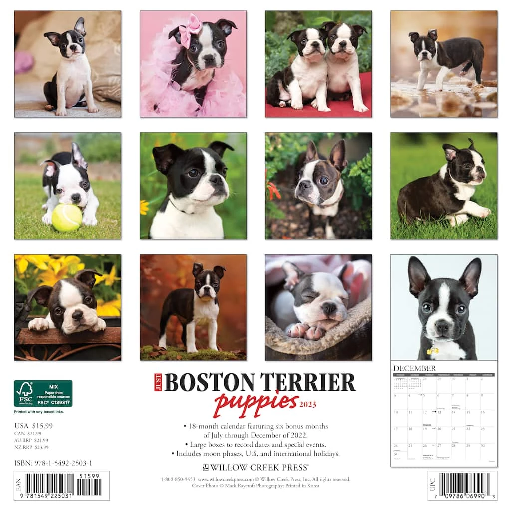 Buy π 2023 Just Boston Terrier Puppies Wall Calendar by Willow Creek Press π₯° 2 Buy π 2023 Just Boston Terrier Puppies Wall Calendar by Willow Creek Press π₯° - Image 2