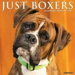 Cheap 💯 2023 Just Boxers Wall Calendar by Willow Creek Press ✨
