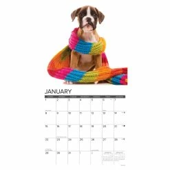 New ⭐ 2023 Just Boxer Puppies Wall Calendar by Willow Creek Press 🔥 -Cheap Willow Creek Press Store D669989S 3