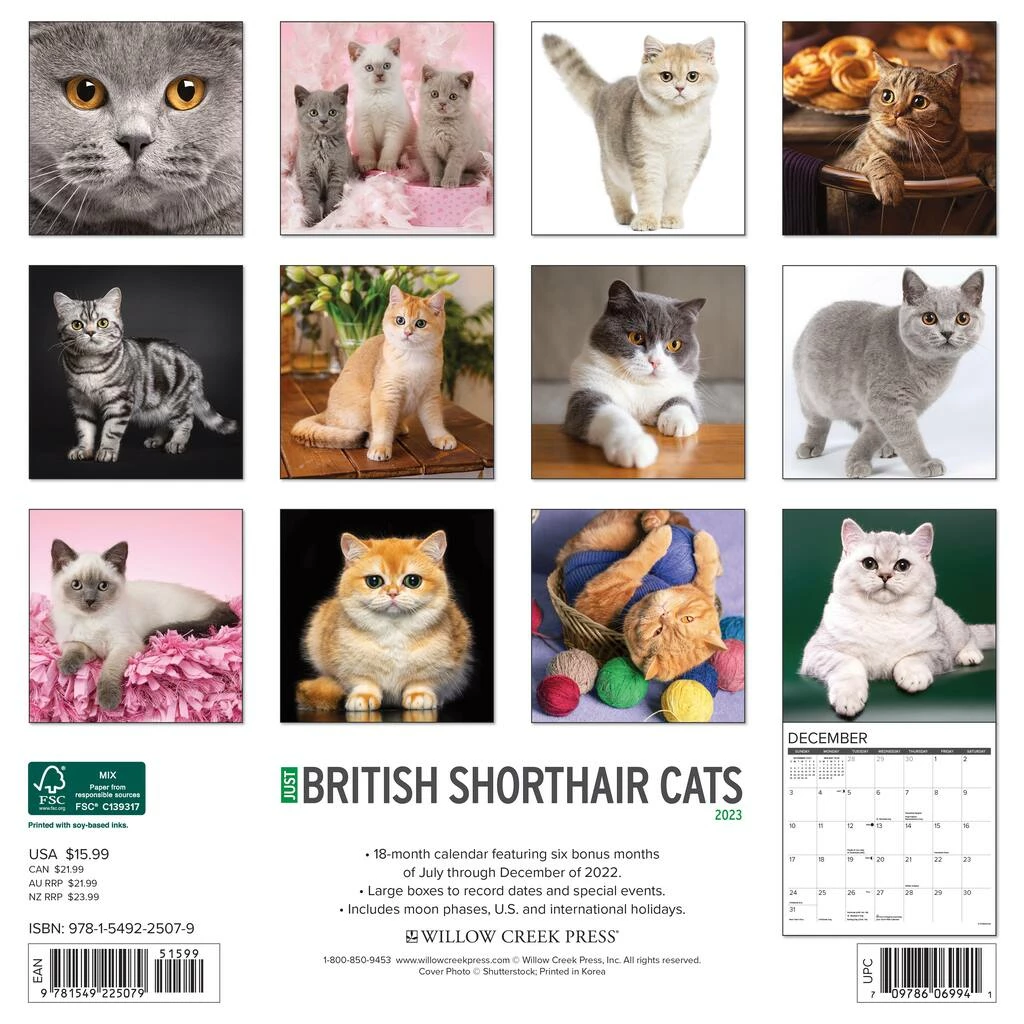 Best Sale 🔥 2023 British Shorthair Cats Wall Calendar by Willow Creek Press 😍 2 Best Sale 🔥 2023 British Shorthair Cats Wall Calendar by Willow Creek Press 😍 - Image 2
