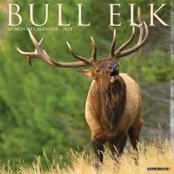 Cheap Willow Creek Press Store 14 Deals 💯 2023 Bull Elk Wall Calendar by Willow Creek Press 🔥