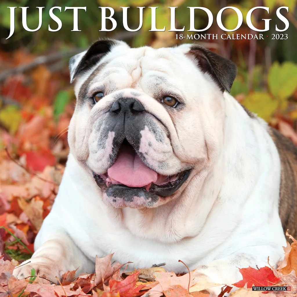 Best Sale โ๏ธ 2023 Just Bulldogs Wall Calendar by Willow Creek Press ๐ฏ 1 Best Sale โ๏ธ 2023 Just Bulldogs Wall Calendar by Willow Creek Press ๐ฏ