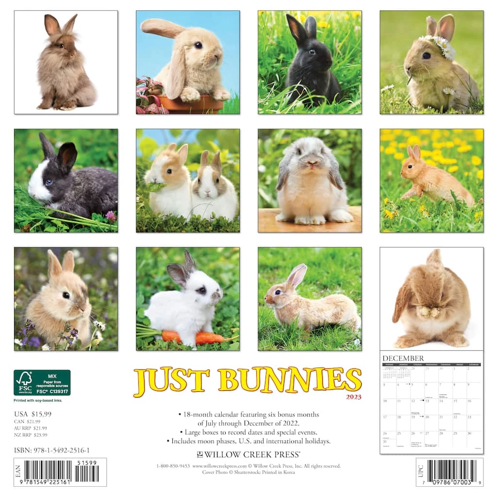 Brand new 🔔 2023 Just Bunnies Wall Calendar by Willow Creek Press 😍 2 Brand new 🔔 2023 Just Bunnies Wall Calendar by Willow Creek Press 😍 - Image 2