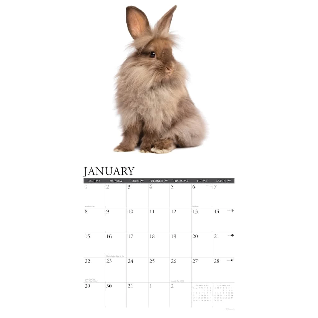 Brand new 🔔 2023 Just Bunnies Wall Calendar by Willow Creek Press 😍 3 Brand new 🔔 2023 Just Bunnies Wall Calendar by Willow Creek Press 😍 - Image 3