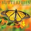 Coupon 🎁 2023 Butterflies Wall Calendar by Willow Creek Press 💯
