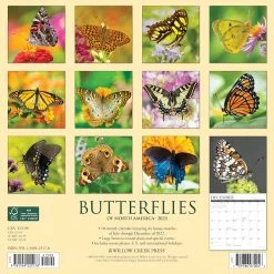 Coupon 🎁 2023 Butterflies Wall Calendar by Willow Creek Press 💯 -Cheap Willow Creek Press Store D669998S 2