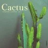 New 😉 2023 Cactus Wall Calendar by Willow Creek Press 🤩