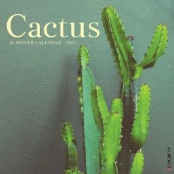 New ๐ 2023 Cactus Wall Calendar by Willow Creek Press ๐คฉ