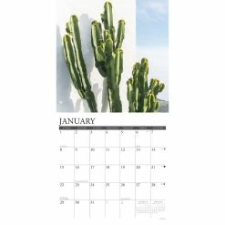 New 😉 2023 Cactus Wall Calendar by Willow Creek Press 🤩 -Cheap Willow Creek Press Store D670001S 3