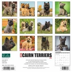 Cheap Willow Creek Press Store -Cheap Willow Creek Press Store D670002S 2