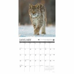 Wholesale 😍 2023 Call of the Wild Wall Calendar by Willow Creek Press 🤩 -Cheap Willow Creek Press Store D670004S 3