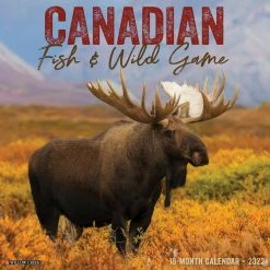 Cheap 🎉 2023 Canadian Fish & Wild Game Wall Calendar by Willow Creek Press ❤️
