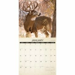 Cheap 🎉 2023 Canadian Fish & Wild Game Wall Calendar by Willow Creek Press ❤️ -Cheap Willow Creek Press Store D670005S 3