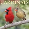 Top 10 🛒 2023 Cardinals Wall Calendar by Willow Creek Press 😀