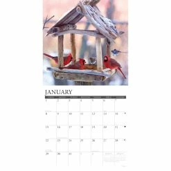 Top 10 🛒 2023 Cardinals Wall Calendar by Willow Creek Press 😀 -Cheap Willow Creek Press Store D670006S 3