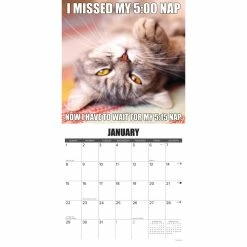Best Pirce 🥰 2023 Cat-Astrophe Wall Calendar by Willow Creek Press 🎁 -Cheap Willow Creek Press Store D670010S 3