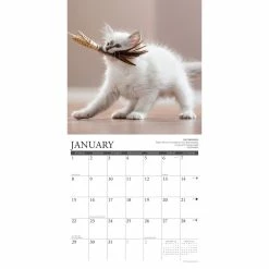 Top 10 ❤️ 2023 Cat Rules Wall Calendar by Willow Creek Press 😉 -Cheap Willow Creek Press Store D670012S 3