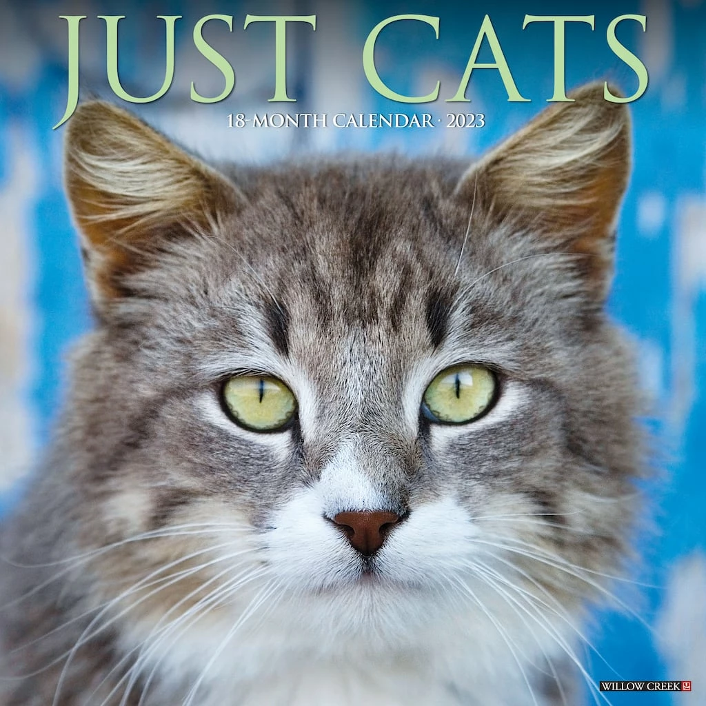 New ๐ 2023 Just Cats Wall Calendar by Willow Creek Press ๐ฏ 1 New ๐ 2023 Just Cats Wall Calendar by Willow Creek Press ๐ฏ